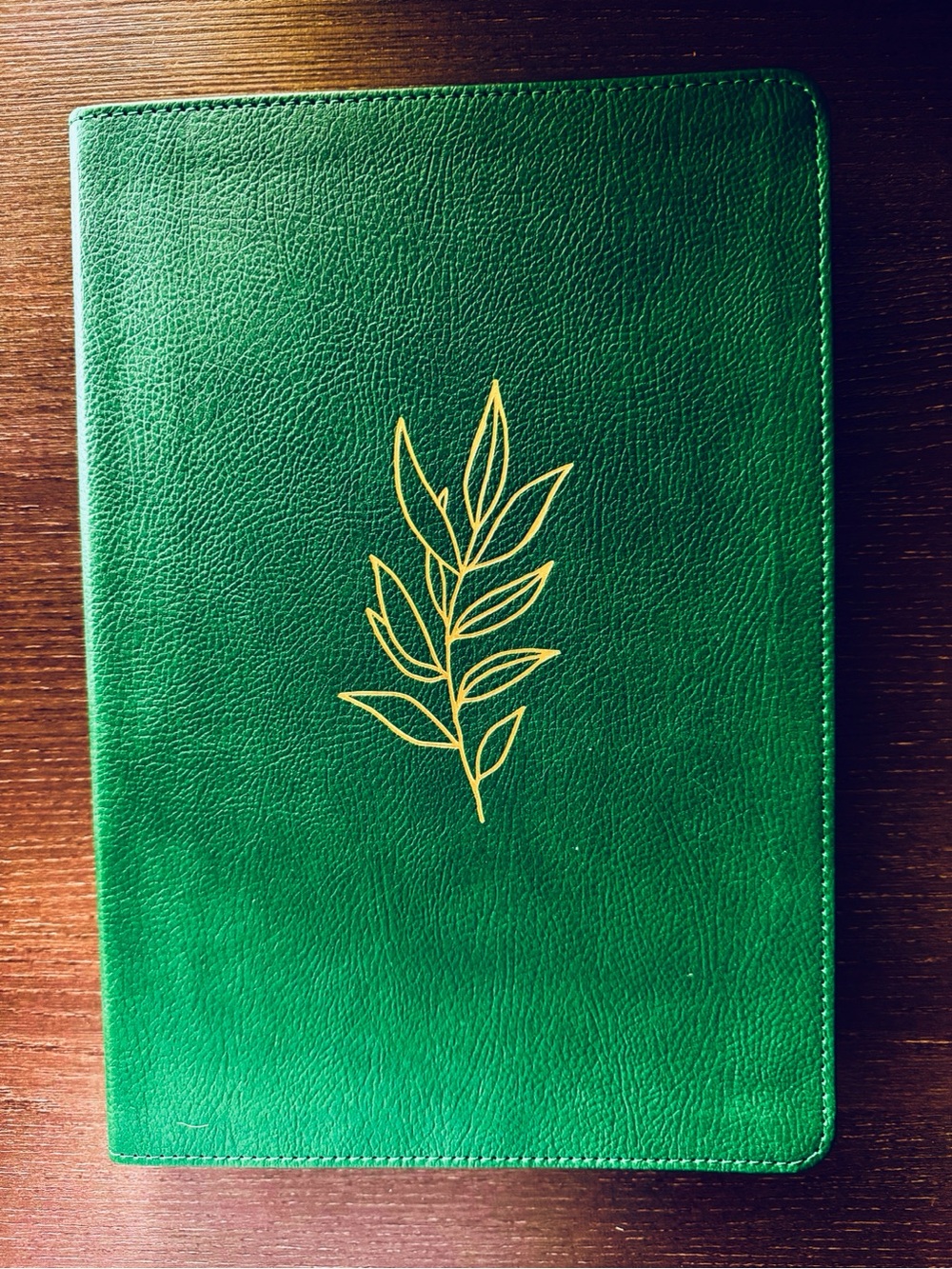 DaySpring NLT Large Print Bible Evergreen LeatherLike New in Box